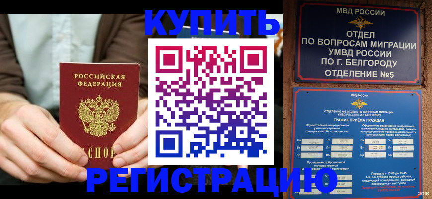 прописка 2025 в Ярославле